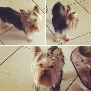 Meet your Posher, Claudia